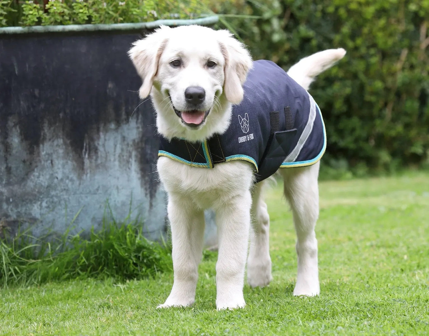 Shires Digby Fox Waterproof Dog Coat