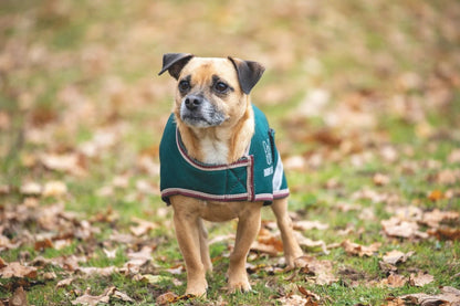 Shires Digby Fox Waterproof Dog Coat