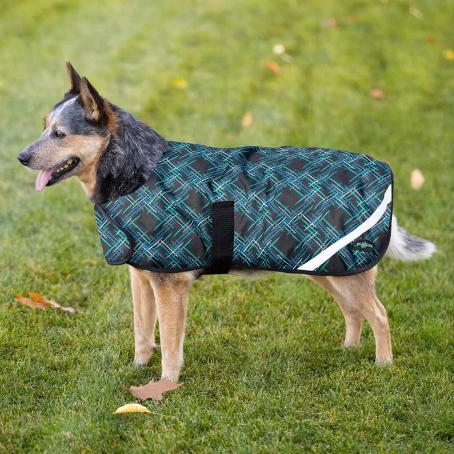 Kensington 1200D Winter Dog Coat - 180g