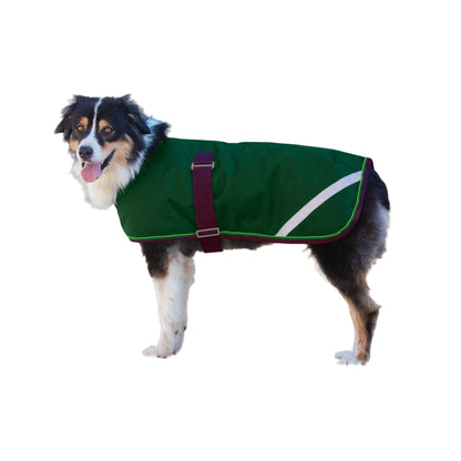 Kensington 1200D Winter Dog Coat - 180g
