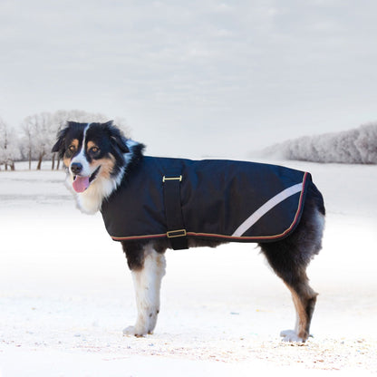 Kensington 1200D Winter Dog Coat - 180g