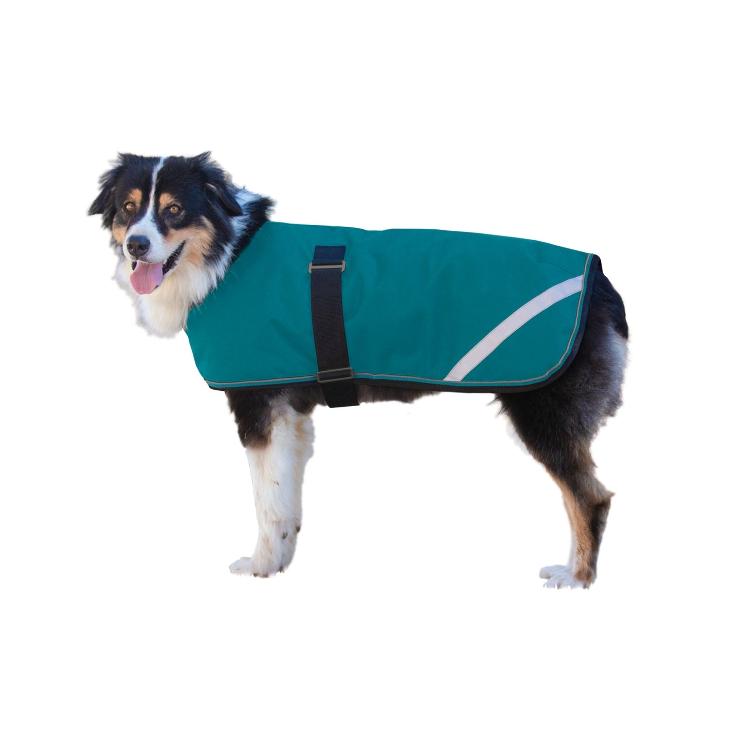 Kensington 1200D Winter Dog Coat - 180g