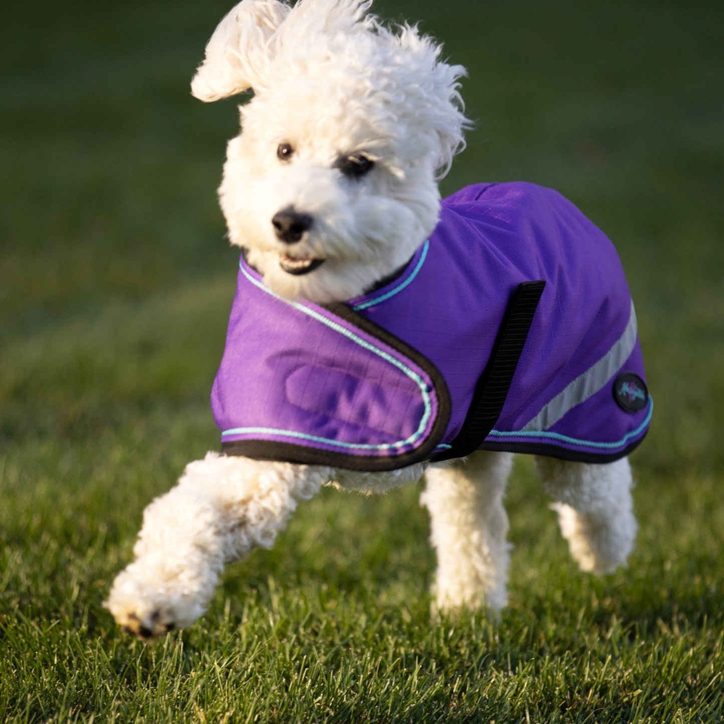 Kensington 1200D Winter Dog Coat - 180g