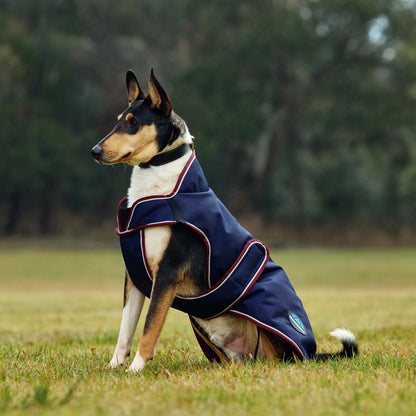 Weatherbeeta ComFiTec Premier Deluxe Waterproof Dog Coat
