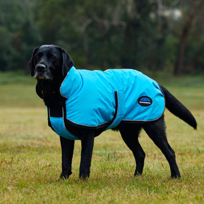 Weatherbeeta ComFiTec Reflective 300D Deluxe Showerproof Dog