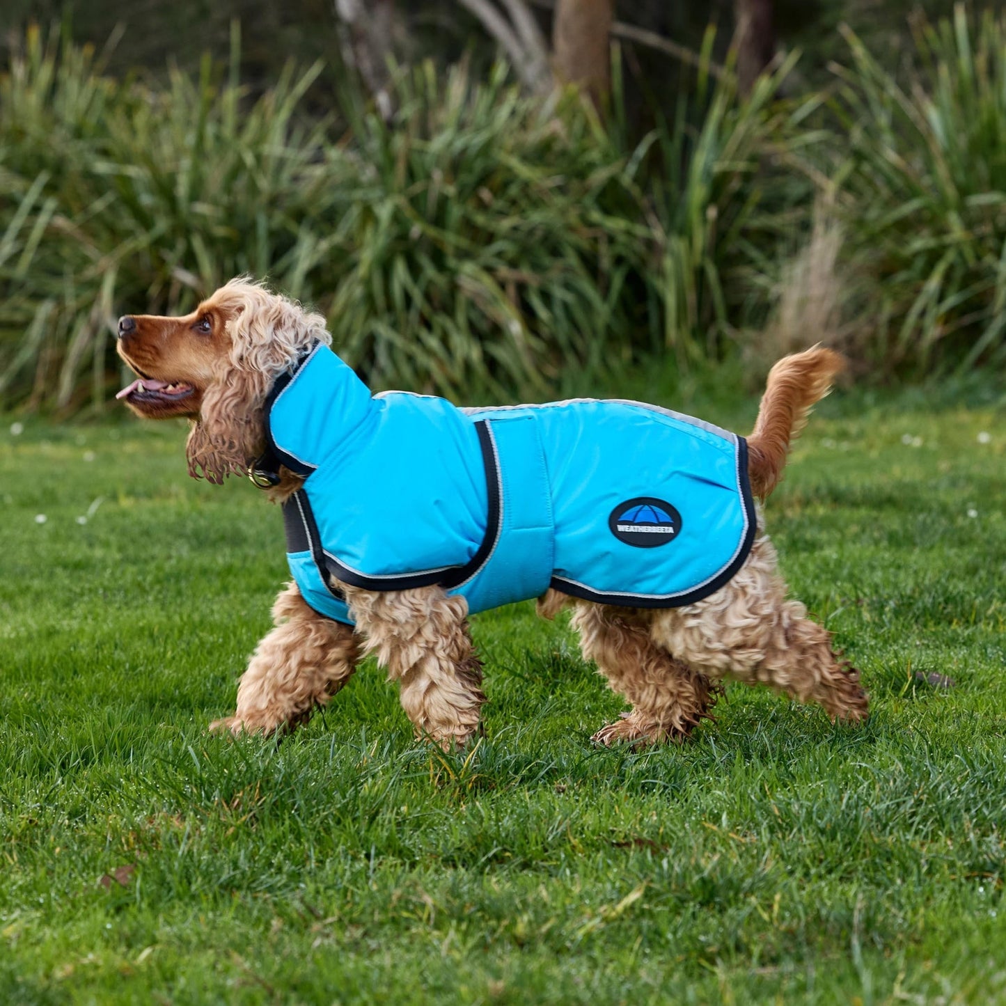 Weatherbeeta ComFiTec Reflective 300D Deluxe Showerproof Dog