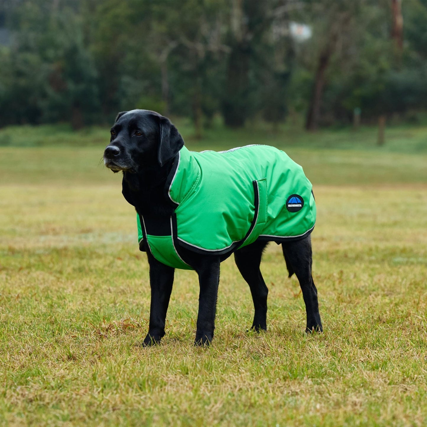 Weatherbeeta ComFiTec Reflective 300D Deluxe Showerproof Dog