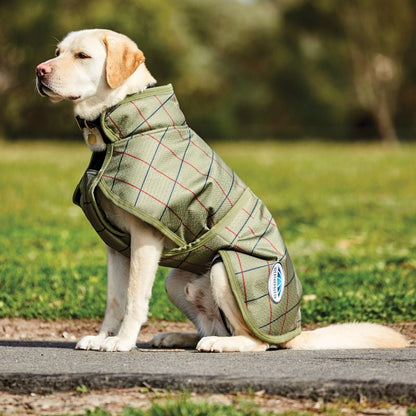 WeatherBeeta Parka 1200D Deluxe Dog Coat