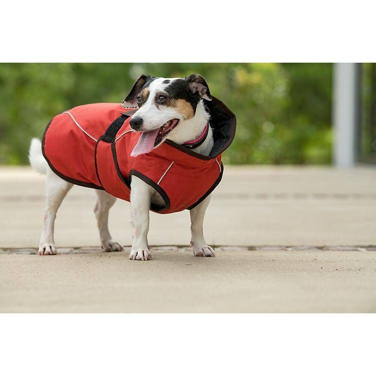 FITS Dog Coats