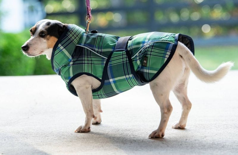 FITS Dog Coats