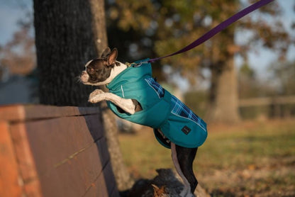 FITS Dog Coats