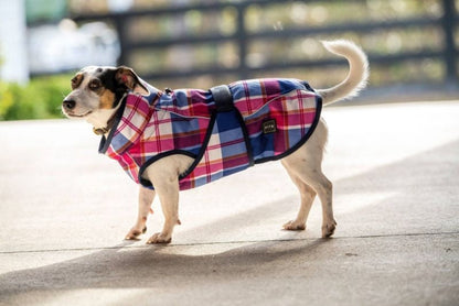 FITS Dog Coats