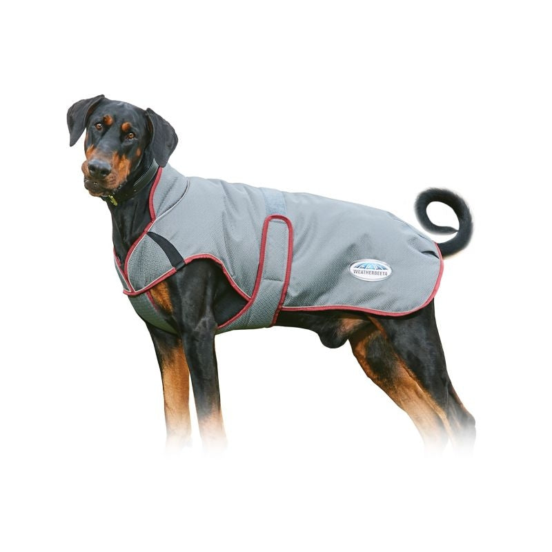 Weatherbeeta ComFiTec Premier Free Parka Deluxe Dog Coat