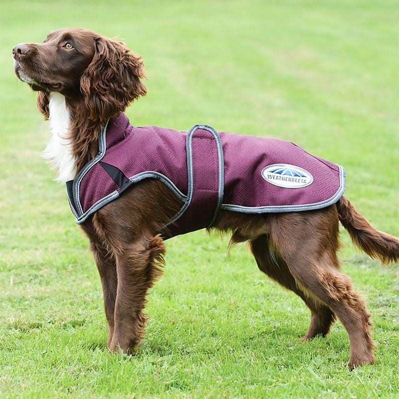 Weatherbeeta ComFiTec Premier Free Parka Deluxe Dog Coat