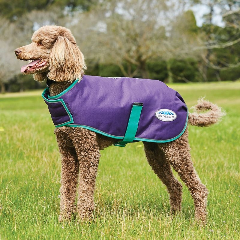 Weatherbeeta ComFiTec Premier Free Parka Dog Coat