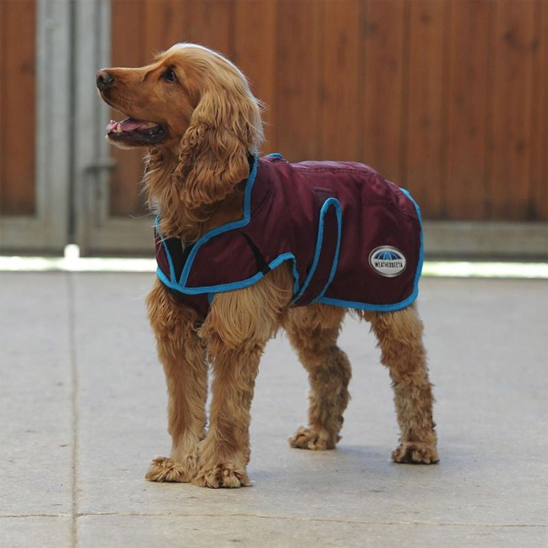 Weatherbeeta ComFiTec Windbreaker Free Deluxe Dog Coat