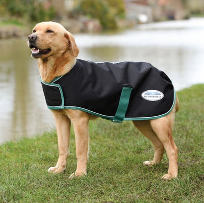 Weatherbeeta Green-Tec 900D Medium Weight Dog Coat