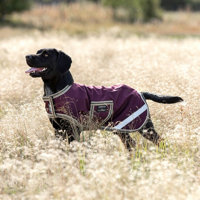 Amigo Dog Rug Ripstop