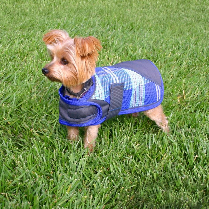 Kensington Plaid Dog Coat