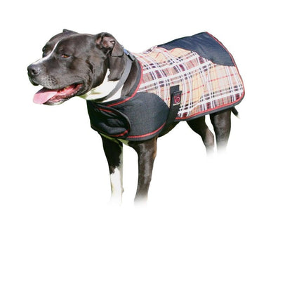 Kensington Plaid Dog Coat