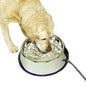 KH Mfg Stainless Steel Thermal Bowl